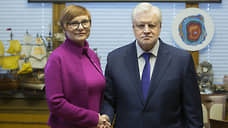 Справороссы недовольны муниципальным фильтром