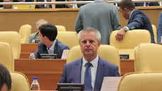 Депутат не вышел из леса