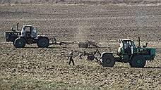 Порядка 75% озимых посевов в Ульяновской области сохранились после зимы