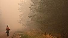 Пожароопасность в лесах Самарской области сохранится до конца рабочей недели