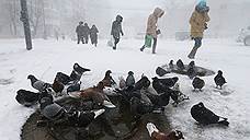 Сильный снегопад в Самарской области не прекратится в течение суток