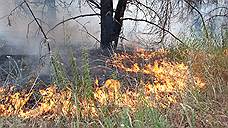 Пожароопасность лесов в Самарской области повышена до пятого класса
