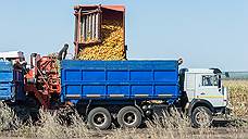 Аграрии Самарской области собрали более 1 млн тонн зерна
