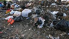 В Самарской области на 50% увеличился объем мусора, вывозимого на полигоны