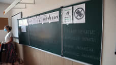 В школах Ульяновской области вводится чередующееся дистанционное обучение