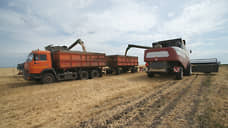 В Оренбуржье намолотили 2 млн тонн зерна нового урожая