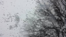 В Самарской области в конце недели ожидаются дождь и снег