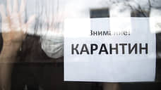 В Самаре, Тольятти и двух районах Самарской области обнаружены очаги бешенства