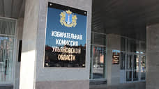 Избирком Ульяновской области временно возглавит зампред комиссии