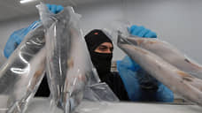 В Ульяновске изъяли 55 тонн нелегальной рыбной продукции
