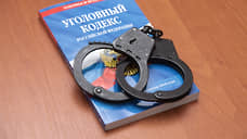 В Чапаевске возбудили уголовное дело об истязании детей в отношении матери несовершеннолетних