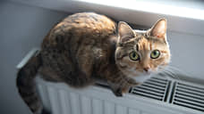 В Оренбуржье с начала отопительного сезона 1857 жителей пожаловались на отсутствие тепла