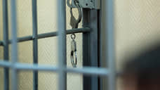 В Оренбуржье суд заключил под стражу обвиняемого в убийстве женщины, тело которой нашли на мусорном полигоне