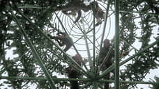 В Оренбурге на главной площади города начали устанавливать новогоднюю елку