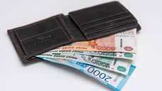 Среди трудоустроенных самарцев 14% ставят целью на 2026 год повышение дохода