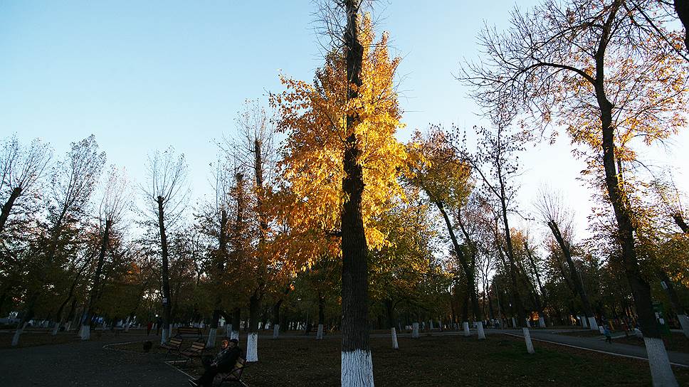 Осенний пейзаж.