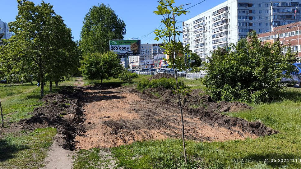 Мэрия планирует вырубить деревья в зоне зеленого пояса Ульяновска 