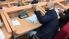 Депутаты просят тишины