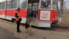 Растрату вернули прокурору