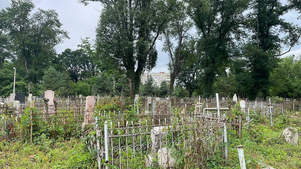 Одним из поводов для конфликта стало выделение многодетным участков в санзоне кладбища