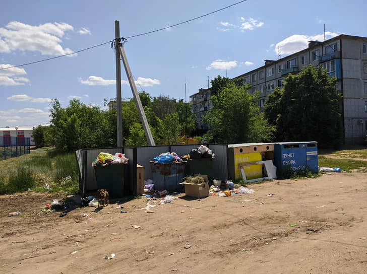 Мусорный кризис в Волгоградской области оказался в центре внимания с начала года