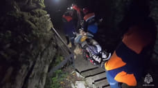 В лесу Сочи 55-летняя туристка травмировала ногу