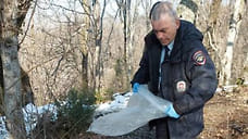 В Сочинском нацпарке задержали браконьера, застрелившего вяхиря