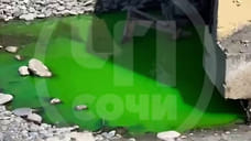 В мэрии Сочи прокомментировали кислотно-зеленую воду на пляже у «Аквалоо»