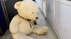 Таможенники изъяла 250 пачек сигарет из плюшевого медведя на границе в Адлере