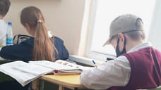 Пострадавший от нападения хаски в Сочи мальчик вернулся к учебе