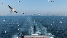 Из-за шторма в 5-6 баллов запуск парома Трабзон — Сочи отложили на неделю