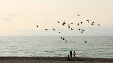 Сочи признан самым дорогим городом России для отдыха в октябре