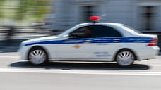 Полиция Сочи проверяет сообщение о поджоге с собаками в Дагомысе