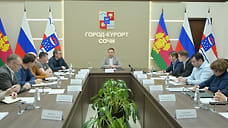 Глава Сочи поручил за праздники ликвидировать перенакопление мусора на курорте