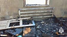 В Невинномысске во время пожара соседи спасли троих детей