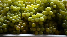 Дагестан планирует экспортировать в Белоруссию виноград и халяльную продукцию