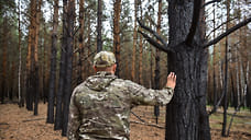 На Ставрополье планируют расширить сеть метеопостов и восстановить лесополосы