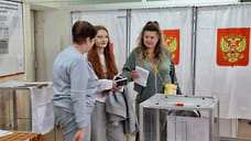 В Ставропольском крае явка на выборах превысила 30%