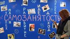 Налоговые отчисления самозанятых в Северной Осетии превысили 170 млн рублей