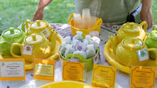 На Ставрополье фермеры реализовали продукцию на 3,8 млрд рублей