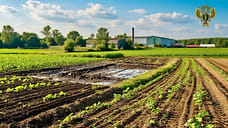 На Ставрополье прокуратура обязала сельхозпредприятия заняться экоконтролем