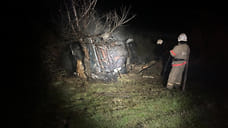 В Буденновском округе Ставрополья Mercedes съехал в кювет, водитель погиб