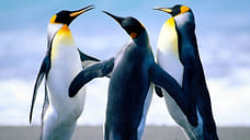 И нужно свернуть — обрыв обогнуть