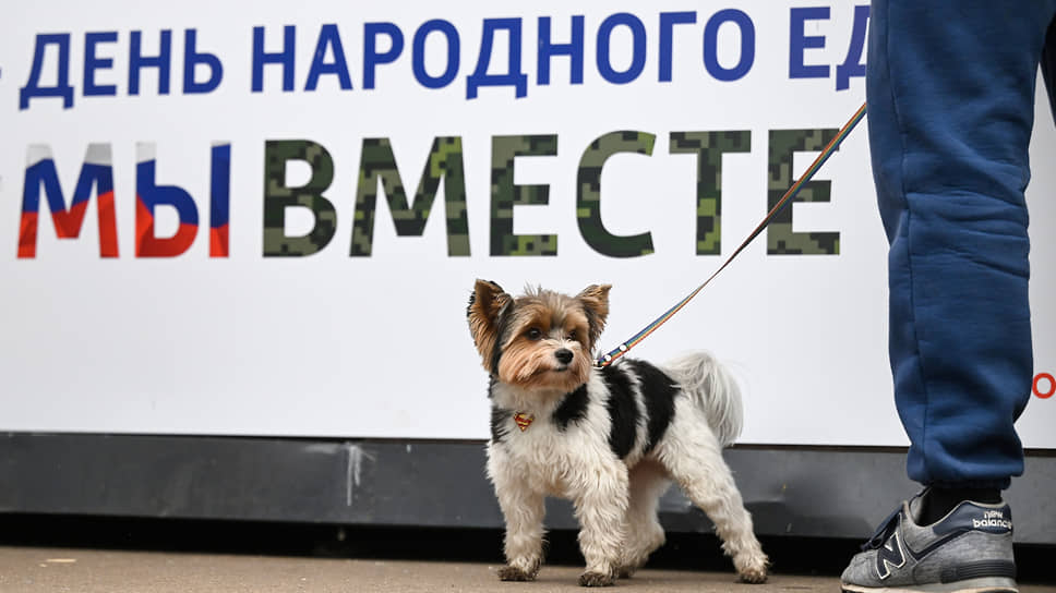 Депутаты Курултая Башкирии предлагают чипировать домашних и отстреливать бездомных собак