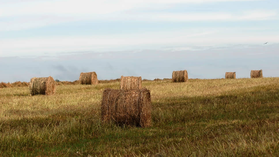 УФАС полагает, что минземимущества Башкирии незаконно предоставило землю фермеру