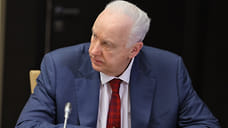 Александр Бастрыкин ждет доклад по факту избиения ребенка в Башкирии