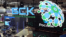 РБК: правительство продало акции Башкирской содовой компании «Росхиму»