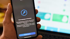 Уфимца осудили за хищение 1,5 млн рублей через «Госуслуги»