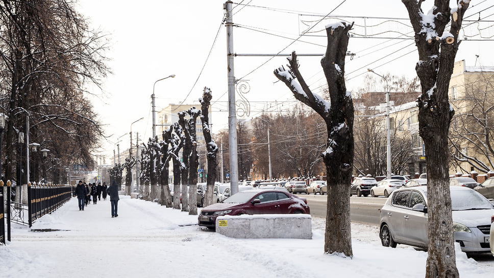 Уфимские коммунальщики, в частности, спилили клены вдоль улицы Чернышевского, а также яблони по улице Бессонова