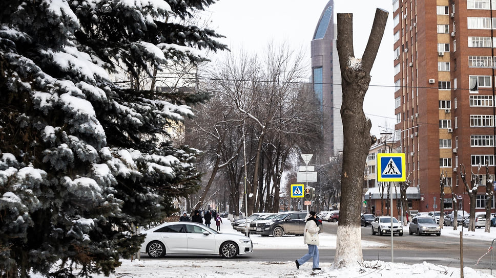 В настоящее время по количеству деревьев Уфа занимает третье место в России